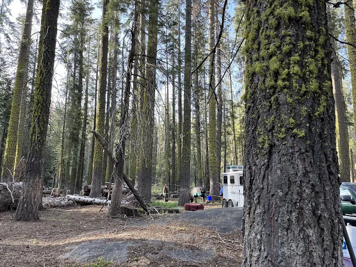 Kerrick Corral Horse Camp Picture 5