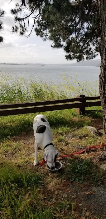 Benicia State Recreation Area Camping Picture 4
