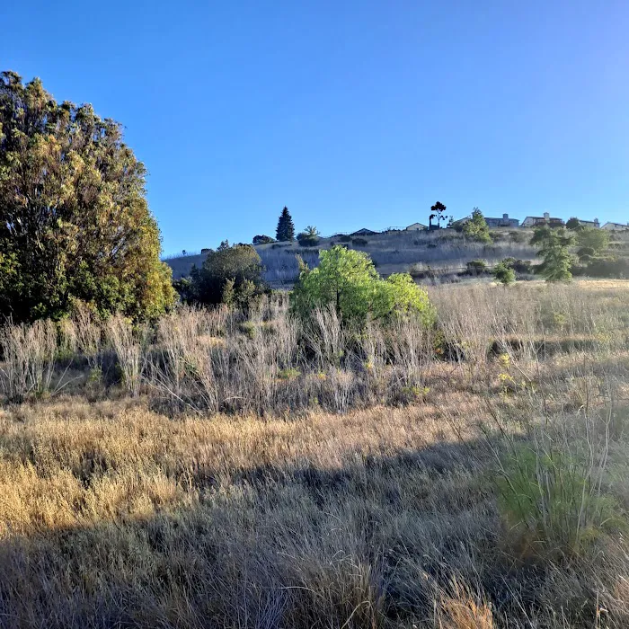 Benicia State Recreation Area Camping Picture 6