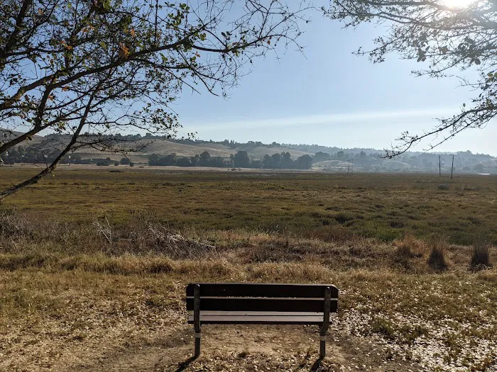 Benicia State Recreation Area Camping Picture 9