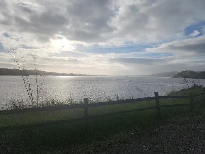 Benicia State Recreation Area Camping Picture 8