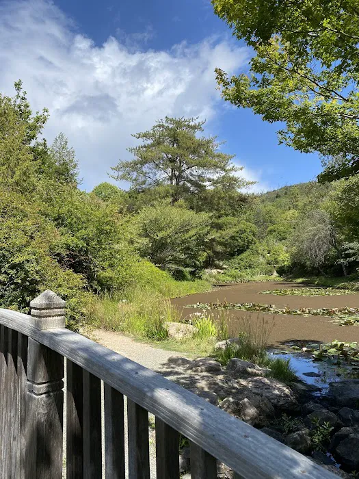 Spring Lake Regional Park Campground Picture 3