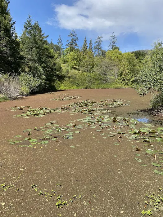 Spring Lake Regional Park Campground Picture 7