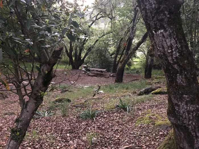 Spring Lake Park Group Campground Picture 10