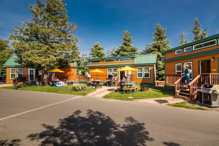 San Francisco North / Petaluma KOA RV Camping Resort Picture 1