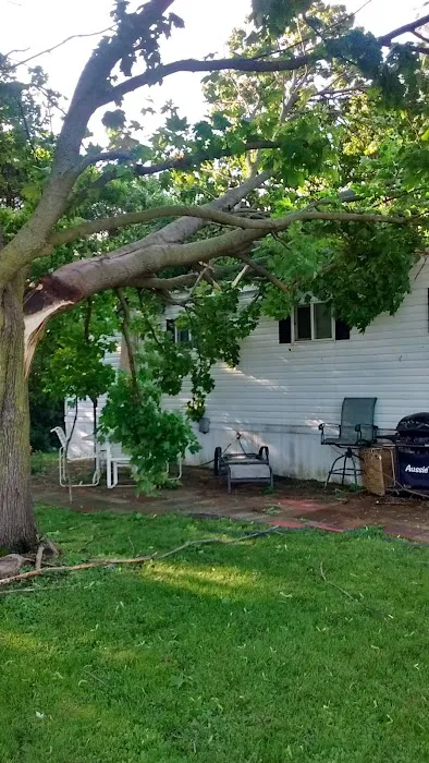 University Village Heights Picture 3