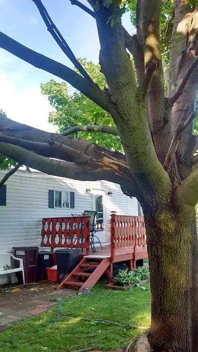 University Village Heights Picture 1