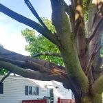 University Village Heights