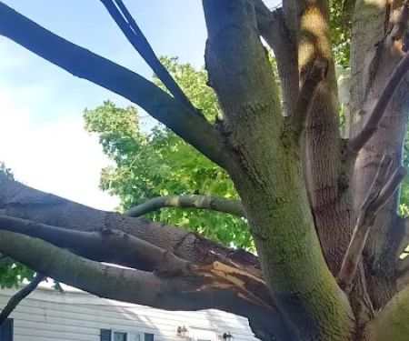 University Village Heights