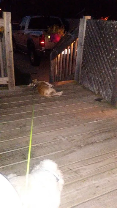 University Village Heights Picture 4