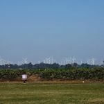 The Meadows of Isleton