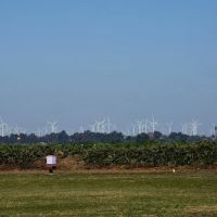 The Meadows of Isleton ico