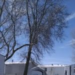 Terrace Manor Mobile Home Park