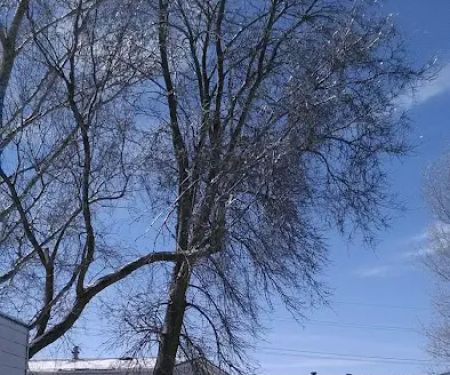 Terrace Manor Mobile Home Park