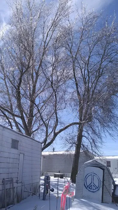 Terrace Manor Mobile Home Park Picture 2