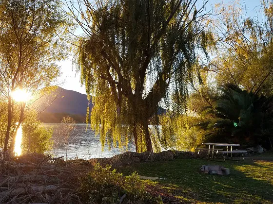 The Oasis Campground Picture 6