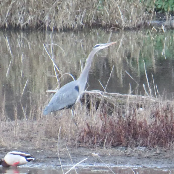 The Oasis Campground Picture 1