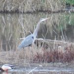 The Oasis Campground