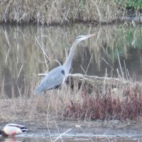 The Oasis Campground ico