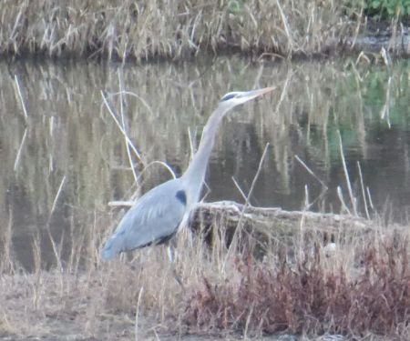 The Oasis Campground
