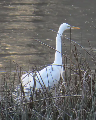 The Oasis Campground Picture 2