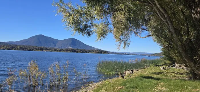 The Oasis Campground Picture 10