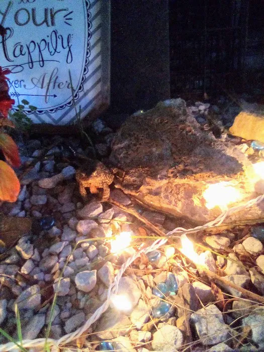 Little Iowa Campground Picture 9