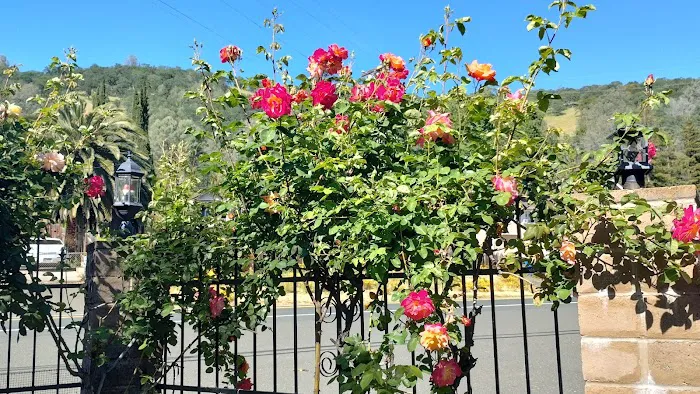 Starlite Resort Picture 3