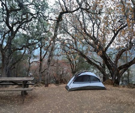 Lower Bayview Campground