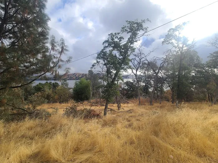 Lower Bayview Campground Picture 4