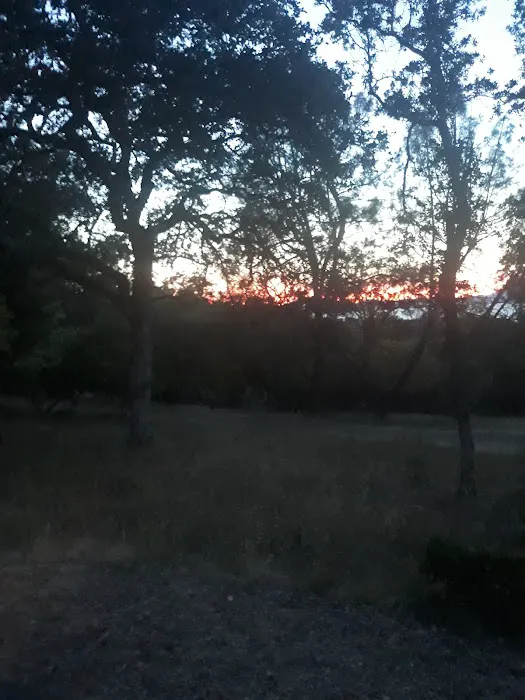 Upper Bayview Campground Picture 1