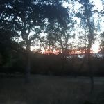 Upper Bayview Campground