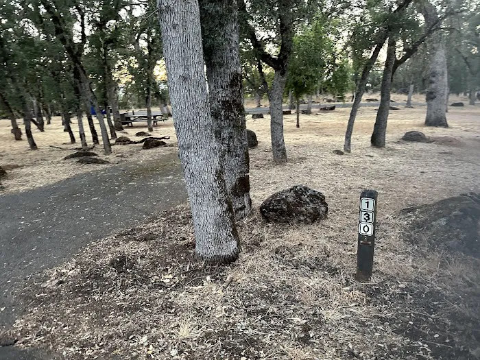Upper Bayview Campground Picture 2
