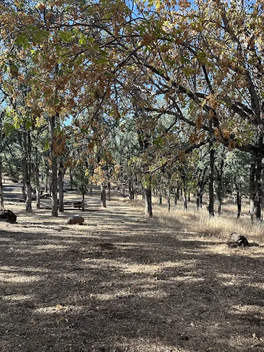 Upper Bayview Campground Picture 9