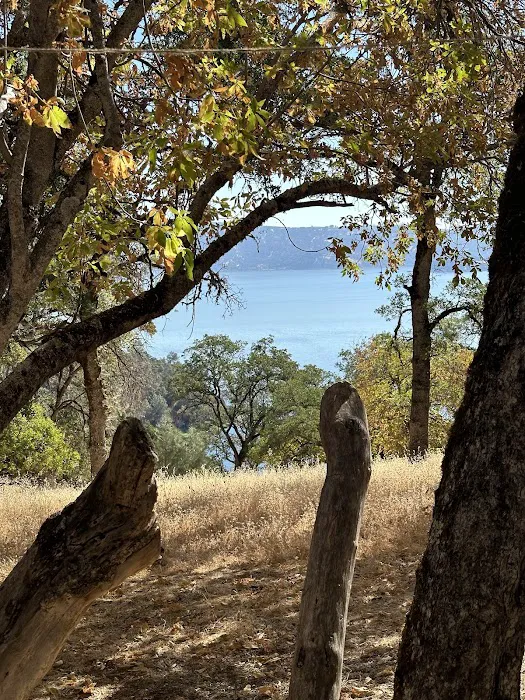 Upper Bayview Campground Picture 8
