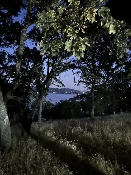 Upper Bayview Campground Picture 7