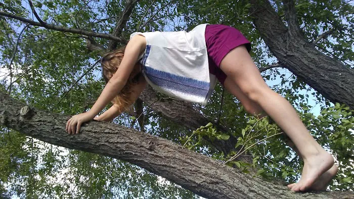 Peck's Mobile Home Estates Picture 7