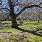 Kelsey Creek Campground
