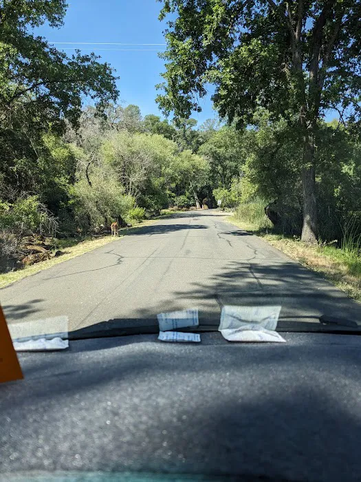 Kelsey Creek Campground Picture 5