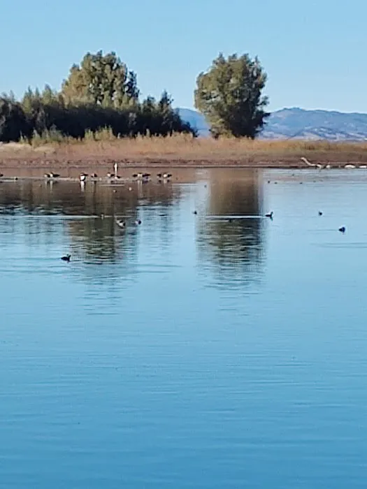 Kelsey Creek Campground Picture 6