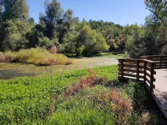 Kelsey Creek Campground Picture 10