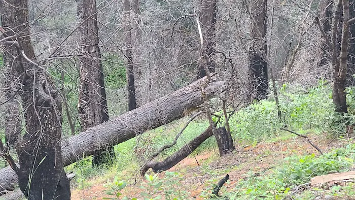 Lakeview Campground Picture 1