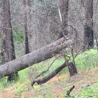 Lakeview Campground ico