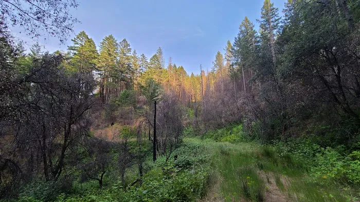 Lakeview Campground Picture 4