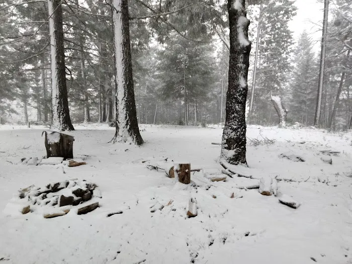 Lakeview Campground Picture 7