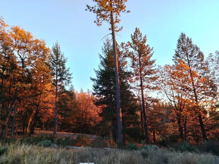 Lakeview Campground Picture 8