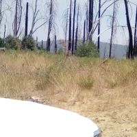 Green Flat Camp ico