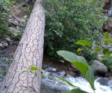 Joe Walt Run Campground