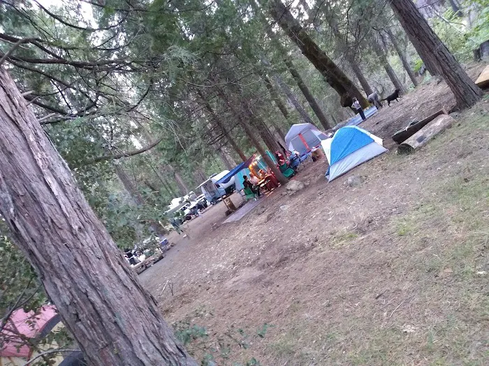 Joe Walt Run Campground Picture 2