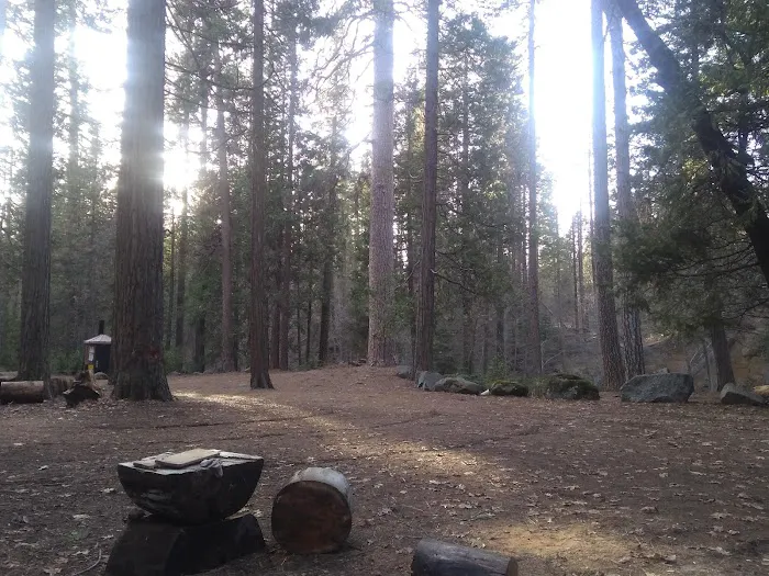Joe Walt Run Campground Picture 5